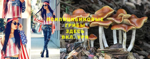 ПСИЛОЦИБИНОВЫЕ ГРИБЫ Михайлов