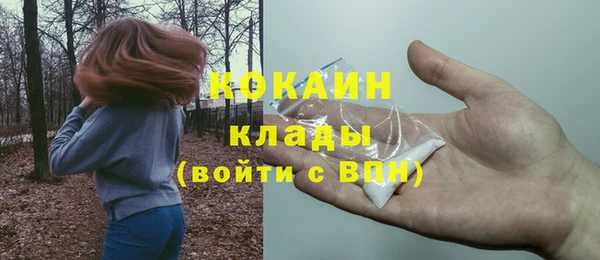 ПСИЛОЦИБИНОВЫЕ ГРИБЫ Михайлов